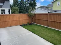 View 51
