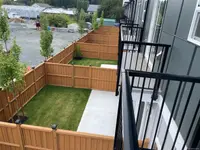 View 55
