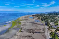 View 61