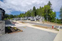 View 50