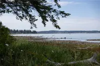 View 39