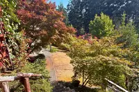 View 79