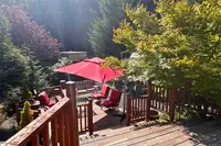 View 60