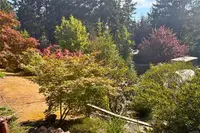 View 78