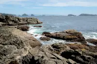 View 65