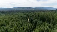 View 36