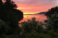 View 81