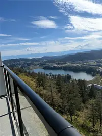View 17