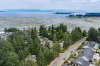View 50