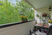 View 17