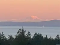 View 41