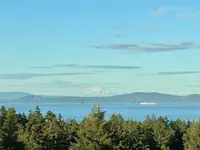 View 40