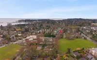 View 39