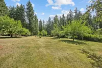 View 54