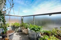View 18