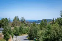 View 77