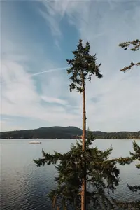 View 62