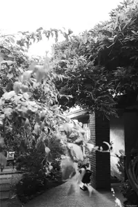 View 26