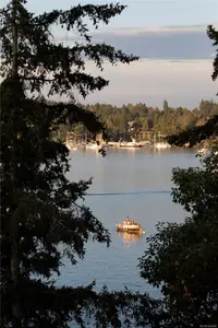 View 7
