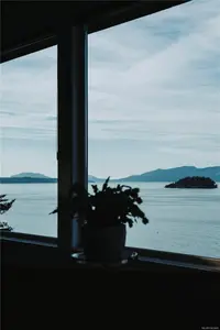 View 82
