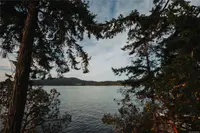 View 54