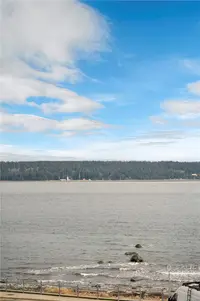 View 47
