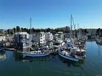 View 55