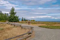 View 41