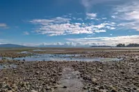 View 37