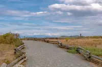 View 40