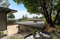 View 50