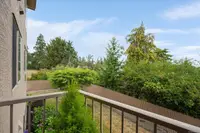View 14