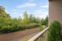 View 15