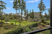 View 49