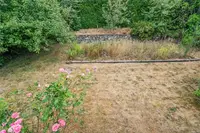 View 49