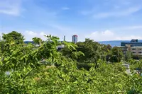 View 23