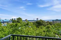 View 19