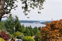 View 4