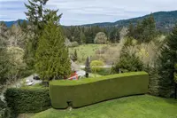 View 36