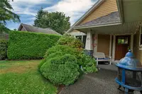 View 31