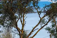 View 22
