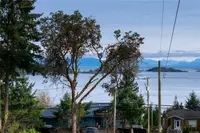 View 15
