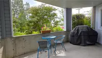 View 16