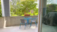 View 15