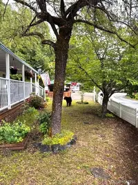 View 29