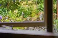 View 23