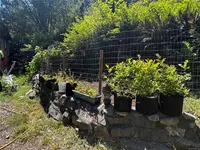 View 12
