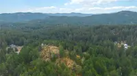 View 53