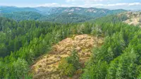 View 55