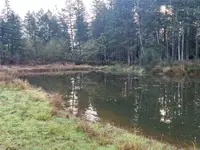 View 21